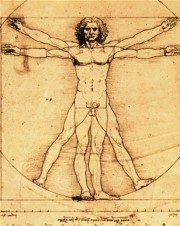 Vitruvian-Man_2506735b